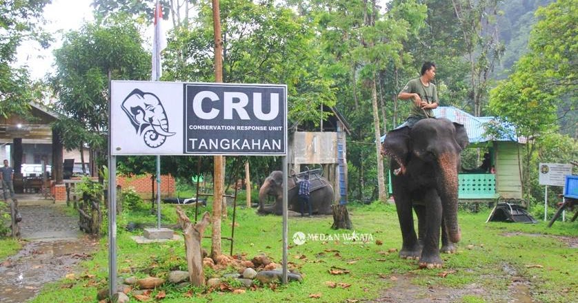 Wisata Tangkahan Sumatera Utara